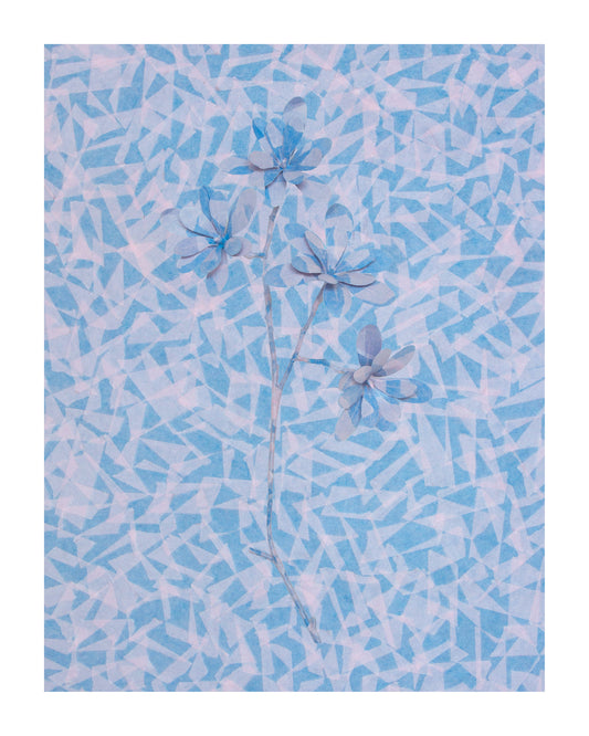 Viola by Studio Wieki Somers